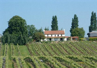 The Three Choirs Vineyard Hotel, Newent